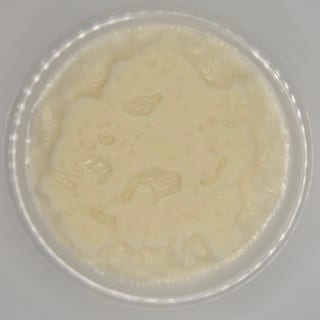 Rice Pudding